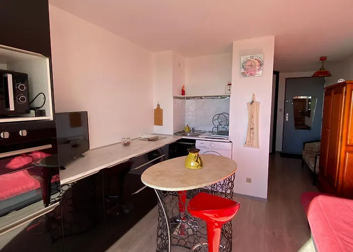 Apartman T2 Refait A Neuf, 4 Pers, Vue Mer, Ascenseur, Parking - Fr-1-798-60 *