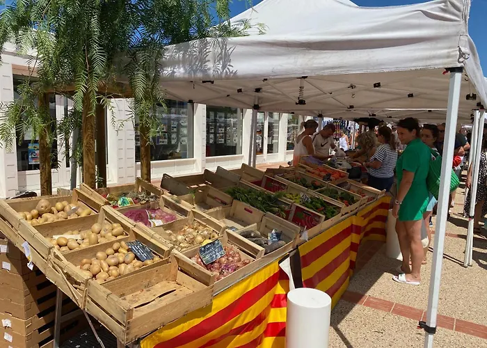 T2 Refait A Neuf, 4 Pers, Vue Mer, Ascenseur, Parking - Fr-1-798-60 * Leucate